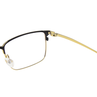 Monturas de Gafas Metálicas de Titanio IP, Estilo Retro Vintage, Color Negro y Dorado, Monturas Ópticas de Moda, Precio de Fábrica
