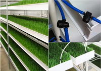 Nouveau système de plantation hydroponique d'irrigation goutte à goutte Abreuvoirs de plantation de tomates