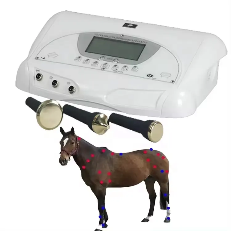 Ultrasound physiotherapy machine for pain relief