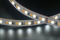 Dc12v24v led bande lumineuse 2835 24v led bande lampe CCT modifiable