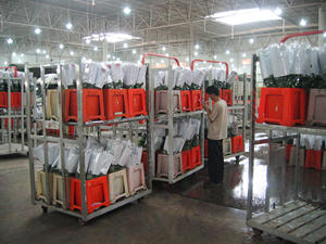 סיר פרחים ארבע גלגל רשת מתכת רולים עבור מכירות פומביות שוק תחבורה כבד עבור עציצים גדולים oem - Product Image 2