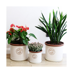 <span class=keywords><strong>Macetas</strong></span> Modernas Redondas, Duraderas y Ecológicas para Interiores y Exteriores, <span class=keywords><strong>Macetas</strong></span> <span class=keywords><strong>de</strong></span> Plástico PP que Imitan <span class=keywords><strong>Piedra</strong></span> para Jardinería en el Hogar - Product Image 3
