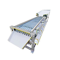 Jiayang Hot Sell Blauwe Bes Sorteermachine, Fruit Sorteermachine, Walnoot Sorteermachine, Knoflook Sorteermachine