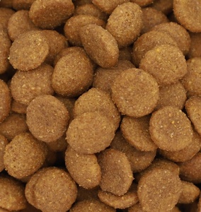 מוצר מיובש בהקפאה, תוספת 5 ק "ג מזון יבש לחתולים, מזון פרוביוטי לחתולים קל לכל שלבי החיים - Product Image 2