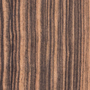 Xcellent. uality. akassar. Bony. eneer. ecoration. Todos los huesos. eneer. OOD. DF. - Product Image 6