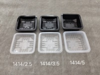 200*140*65mm Lunchbox Kunststoff-Lebensmittel behälter zum Mitnehmen von Lebensmitteln wie Mahlzeit Fleisch Gemüse Obst im Laden oder auf dem Bauernhof oder in der Lebensmittel fabrik