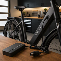 Chargeur Vélo Électrique Joyuntech 42V 2A Adaptateur d'Alimentation Batterie Lithium 3 Broches Phylion pour Stella Vicenza Livorno Vente en Gros OEM