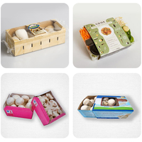 Boîtes d'emballage personnalisées en papier pour fruits et légumes frais Oyster Mushroom Grow