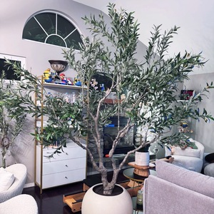 Haut de gamme artificielle <span class=keywords><strong>olivier</strong></span> grand vert intérieur aménagement paysager plante <span class=keywords><strong>en</strong></span> <span class=keywords><strong>pot</strong></span> pur à la main <span class=keywords><strong>en</strong></span> plastique usine <span class=keywords><strong>en</strong></span> <span class=keywords><strong>gros</strong></span> <span class=keywords><strong>pour</strong></span> un usage domestique - Product Image 4