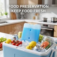 Boîte de refroidissement réutilisable de différentes formes OEM, boîte isotherme pour enfants, brique de glace écologique pour aliments congelés, fabriquée en HDPE
