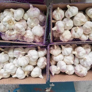 Ajo Blanco Congelado de China, Ajo Individual de Grado Alimenticio, Mayorista de Vegetales, Distribuidor de Ajo Chino, Proveedor de Exportación - Product Image 6