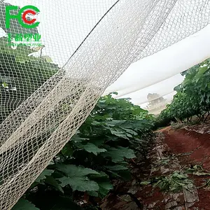 anti hail leno nets anti-hail 100% virgin hdpe knitted woven netting white 50 60 70 GSM for garden agro olive fruit tree