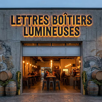 Logos 3D pour entreprises, enseignes lumineuses LED rétroéclairées, lettres en acier inoxydable, enseignes murales pour entreprises, magasins, bureaux
