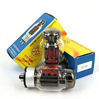 Tube à vide KT88, Tétrode de puissance, Remplacement pour 6550, Paire assortie de précision pour amplificateur à tubes HiFi et guitare