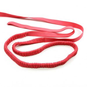 Sangle élastique en polyester colorée personnalisée 2024, bande élastique pour laisse de chien, laisse élastique en polyester - Product Image 5