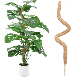 DIY bentuk Coir tiang lumut untuk tanaman Monstera memanjat tongkat tanaman mawar Multi ukuran dapat ditekuk tongkat penanaman kelapa