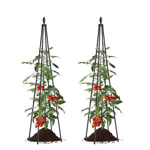 Enrejado de jardín Obelisk de torre alta para plantas trepadoras, planta de flor de vid, enrejado Ted <span class=keywords><strong>Baker</strong></span> <span class=keywords><strong>Chelsea</strong></span> con bolsa de cultivo - Product Image 1