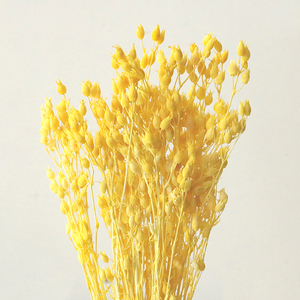 Paquete de Materiales para Manualidades con Flores Eternas, <span class=keywords><strong>Atrapamoscas</strong></span>, Hierba, Vela Flotante en <span class=keywords><strong>Botella</strong></span>, Aromaterapia, Material Floral - Product Image 2