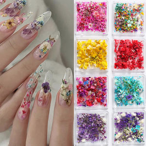 Nail Art Décorations Délicates Fleurs Séchées en 3D pour Nail Art, 1 Boîte, Accessoire de Beauté - Product Image 2