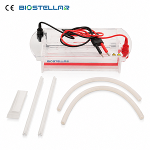 Kit d'électrophorèse médicale en acétate de cellulose BIOSTELLAR pour l'enseignement et la personnalisation OEM/ODM avec l'usine du Shandong - Product Image 2