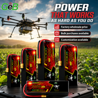 Batterie de drone en gros 3S 4S 6S 8S 12S 14.8V 22.2V 22000mAh, batterie lithium polymère longue durée pour drone agricole UAV