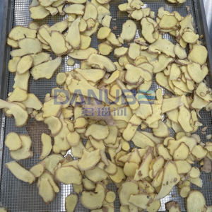 Advanced Ginger Slice Tunnel Dryer Ginger Dehydrator Equipment Ginger Slice Microwave Drying Machine - Product Image 5