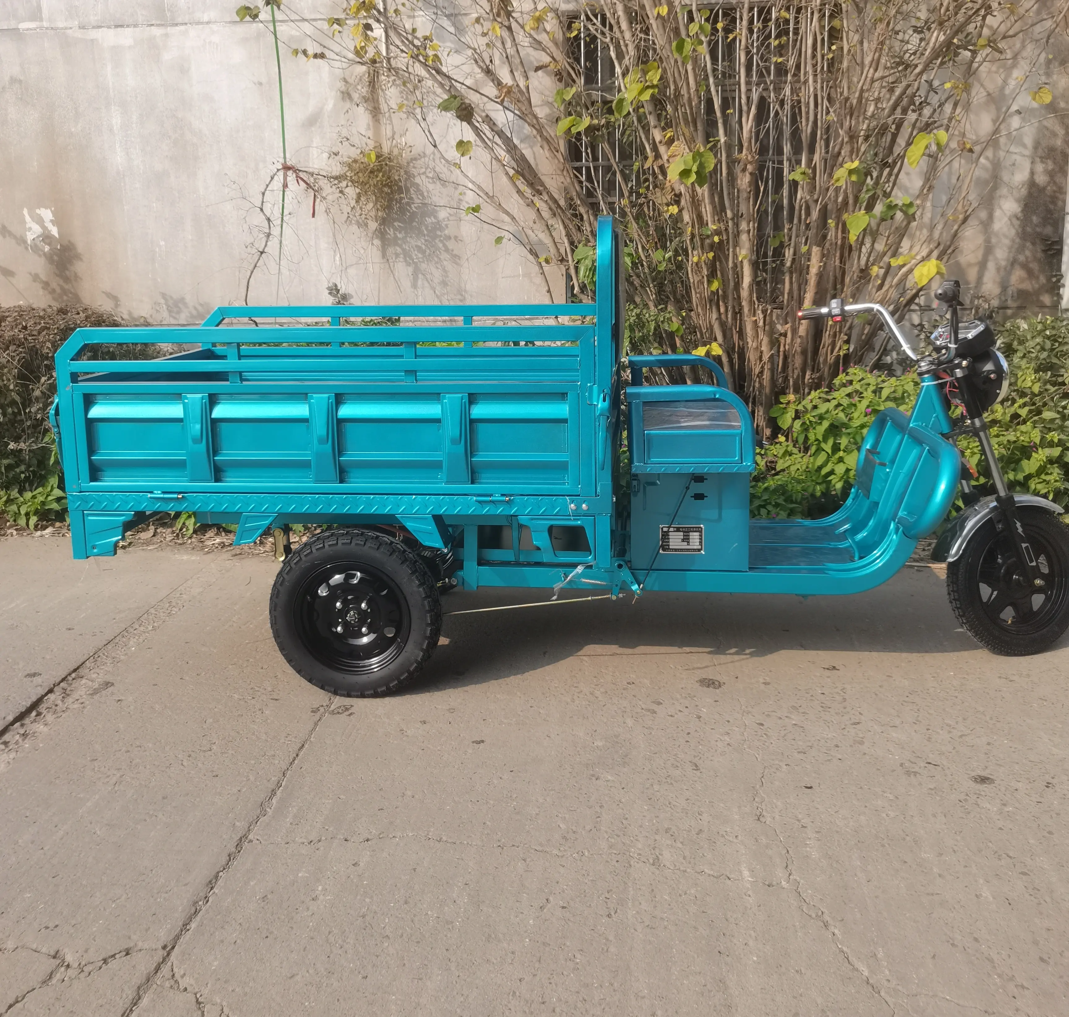 Eaynon küçük Mini değer üç tekerlekli bisiklet yağ motosiklet ters Rickshaw elektrikli üç tekerlekli bisiklet