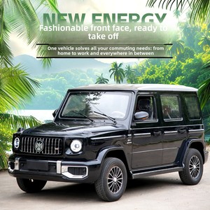 سيارة كهربائية جديدة مغلقة بالكامل للاستخدام المنزلي سكوتر للتنقل ثنائي الاستخدام بالغاز لكبار السن سيارة طاقة جديدة ممتعة - Product Image 2