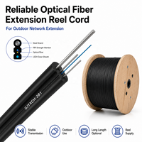 Harga Pabrik Kabel Serat Optik Outdoor 1KM 300M 200M 150M 100M 2 Core 4 Core LC Extension Reel Cord FTTH Dorp Cable