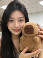 Peluche Capybara moelleuse, vente en gros directe d'usine