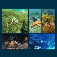 Jouets bateaux télécommandés sous-marins miniatures 6CH 2.4G avec connexion APP par téléphone, caméra WIFI FPV, jouets bateaux télécommandés pour enfants