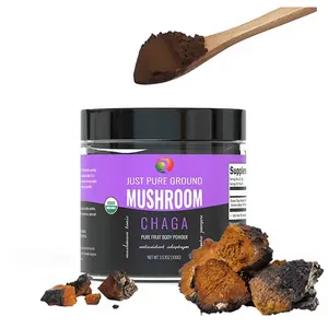 Supplément en poudre d'extrait de champignon Chaga de marque privée QST Polysaccharide Chaga 20% 10:1 Poudre d'extrait de Chaga