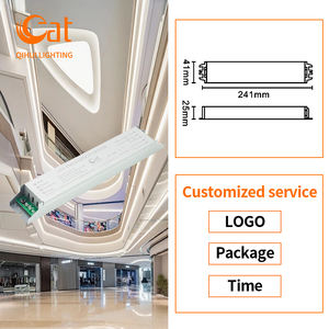 L'OEM di tendenza ha condotto la personalizzazione della fabbrica del Driver di emergenza per le fabbriche e i luoghi pubblici delle scuole leggere 5-20W - Product Image 3