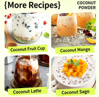 Poudre de lait de coco 1 kg |   Mélange pour boisson crémeuse instantanée à la noix de coco |   Qualité alimentaire pour les boissons et les desserts
