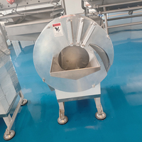 YOUBAN Industriële Automatische Groentesnijmachine Wortel Gember Aardappel Snijder/Schaaf voor Chips en Reepjes Verwerking