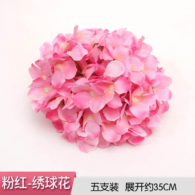 Pink hydrangea