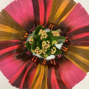 Máquina de extensiones de cabello liso natural de cabello sedoso vietnamita de trama súper doble dibujada - Product Image 1