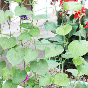 Trắng Ép Đùn Nho Hỗ Trợ <span class=keywords><strong>Net</strong></span> Nhà Máy Rau Trái Cây Leo Núi Trellis Lưới - Product Image 5