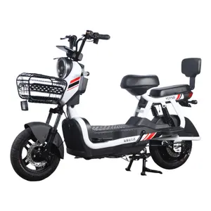 E-bike 2-wheeled electric bicycle can carry 2 people electric city bike suppliers