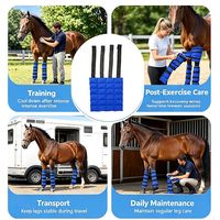Bottes de compression réutilisables en gel OEM pour chevaux – Thérapie par le froid pour les membres inférieurs (genou, cheville, hock)