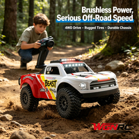 Voiture de course professionnelle WGNRC SG818 à l'échelle 1/24, voiture tout-terrain RC à quatre roues motrices entièrement proportionnelle, voiture de course RC sans balais