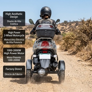 <span class=keywords><strong>Moto</strong></span> électrique tout-terrain à <span class=keywords><strong>3</strong></span> <span class=keywords><strong>roues</strong></span> 1000W 2000W pour la montée en pente, frein à disque hydraulique avec écran LCD multifonctionnel - Product Image 6