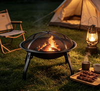 Barbecue extérieur au bois, brasero portable en acier, poêle à charbon pliable pour patio et jardin