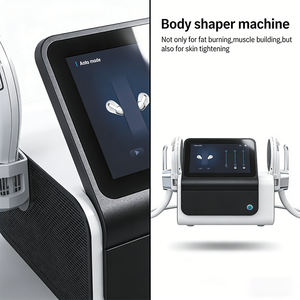 Estimulador Muscular Electrónico de Radiofrecuencia para Adelgazar, Nuevo Producto, Máquina de Terapia de Estimulación Muscular EMS de Escritorio - Product Image 6