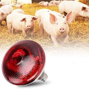 Ferme volaille chauffage <span class=keywords><strong>poulet</strong></span> couveuse infrarouge halogène ampoule lampe chauffante pour animaux - Product Image 6