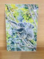 Ébauches de sublimation en aluminium en gros pour produits personnalisés Ébauches d'impression en aluminium