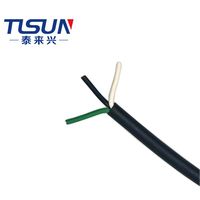 Cable de Alimentación Estándar Estadounidense Modelo SE, 3 Núcleos, 18AWG, Revestimiento de TPE, Resistencia a la Temperatura 105 ℃