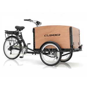 <span class=keywords><strong>Remorque</strong></span> de transport pour animaux de compagnie de haute qualité avec boîte en bois, <span class=keywords><strong>vélo</strong></span> cargo <span class=keywords><strong>électrique</strong></span> familial à trois roues, tricycle <span class=keywords><strong>électrique</strong></span> - Product Image 3