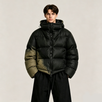 Veste d'hiver chaude pour homme, style streetwear, avec capuche, en duvet, à blocs de couleur ombrés, personnalisable avec logo OEM.