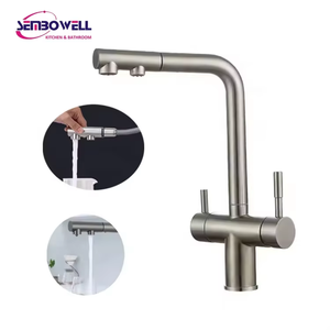 <span class=keywords><strong>Robinet</strong></span> de cuisine extractible en acier inoxydable 304, finition brossée, avec filtre, mitigeur de cuisine en acier inoxydable - Product Image 1